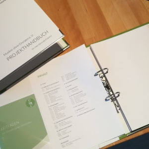 MoG - Projekthandbuch